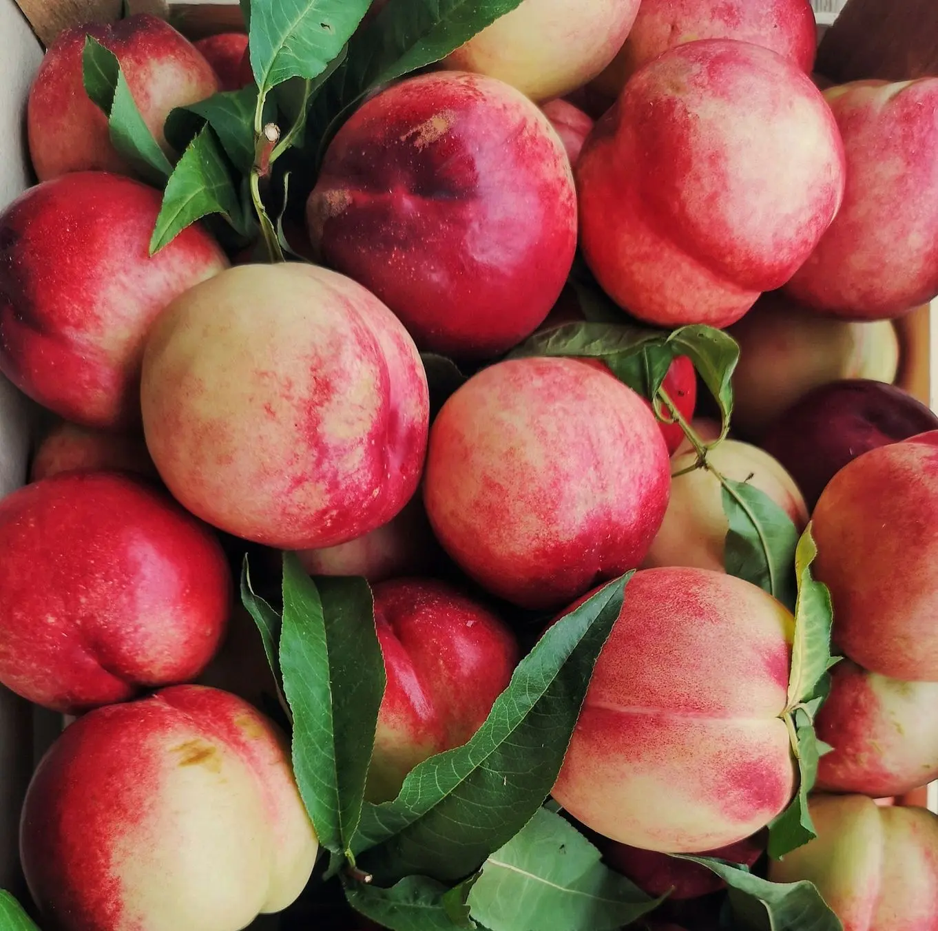a box filled with lots of red and yellow apples